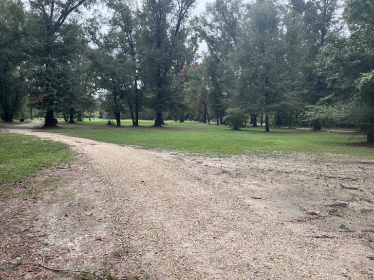 Primitive Campsites