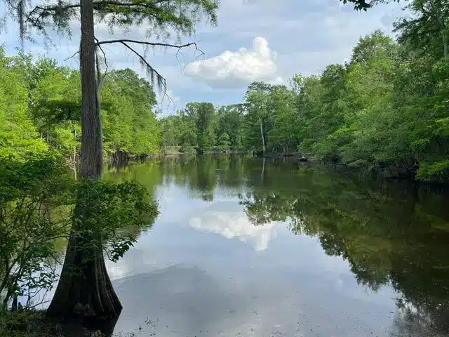8 Acre Fishing Lake